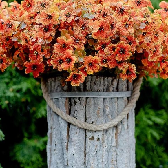 Meet your Posher, Renee - Picture 1 of 1